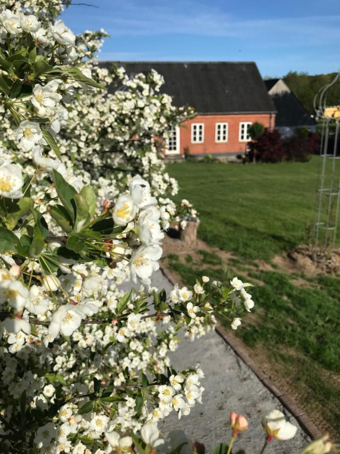 Brorup Kjaersgaard, Hygge, Ro, Natur Og Landliv Skanderborg Exterior foto