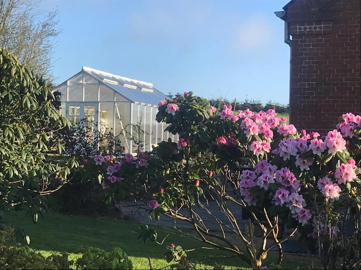 Brorup Kjaersgaard, Hygge, Ro, Natur Og Landliv Skanderborg Exterior foto