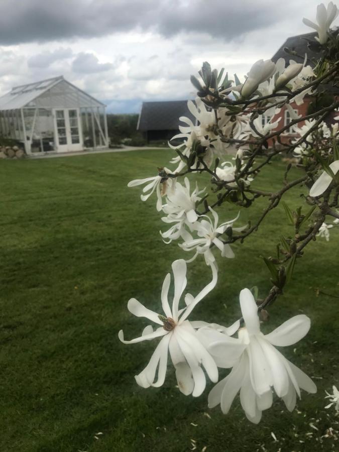 Brorup Kjaersgaard, Hygge, Ro, Natur Og Landliv Skanderborg Exterior foto