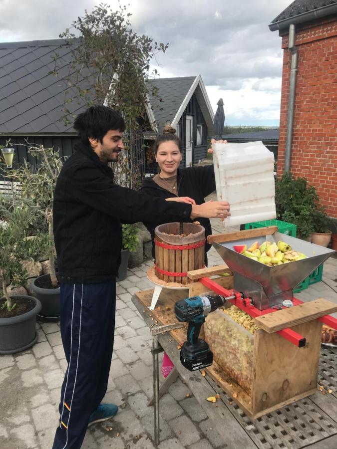 Brorup Kjaersgaard, Hygge, Ro, Natur Og Landliv Skanderborg Exterior foto